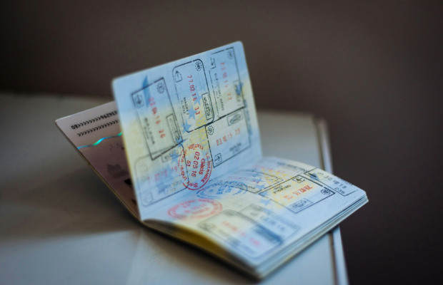 Visa Application Submission